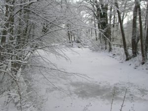 Winter 2009